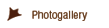 Photo Gallery